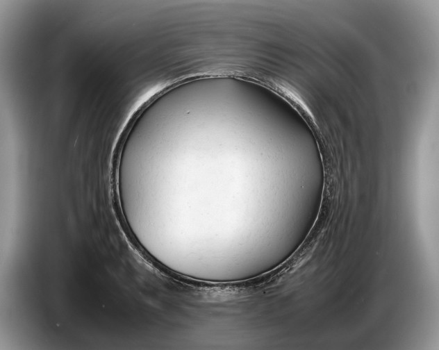 X0000086721087200704271606