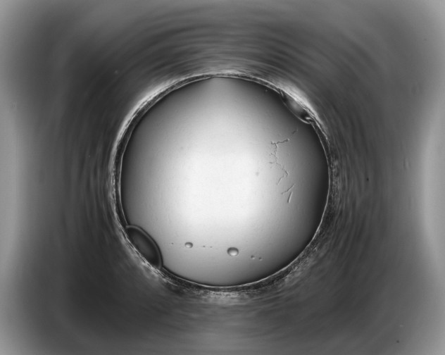 X0000086721088200704271606