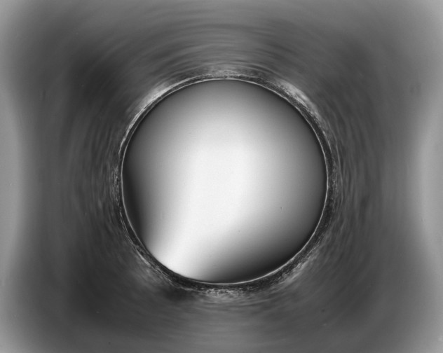 X0000086721089200704271606