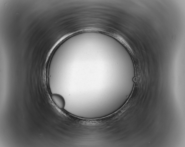 X0000086721092200704271606