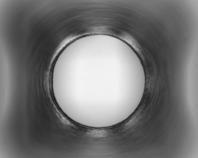 X0000086721094200704271606
