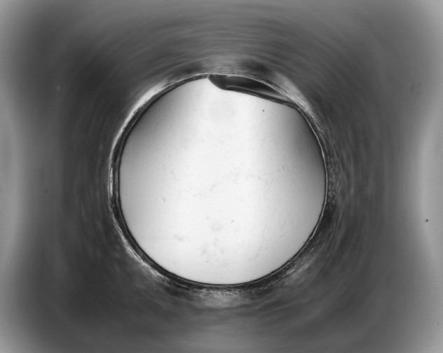 X0000086721095200704271606