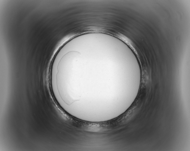X0000086721098200704271606