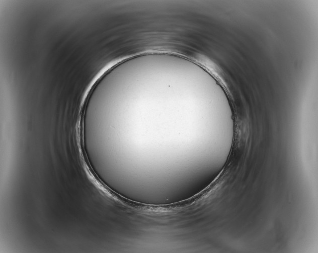 X0000086721100200704271605