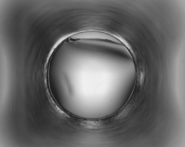 X0000086721102200704271605
