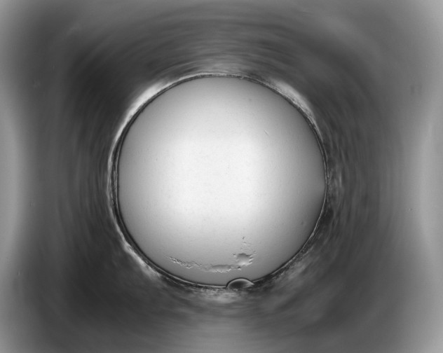 X0000086721103200704271605