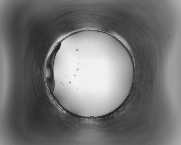 X0000086721104200704271605