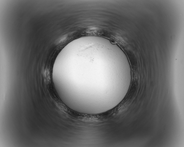 X0000086721106200704271605