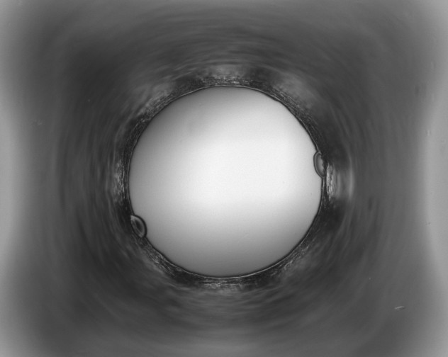 X0000086721107200704271605