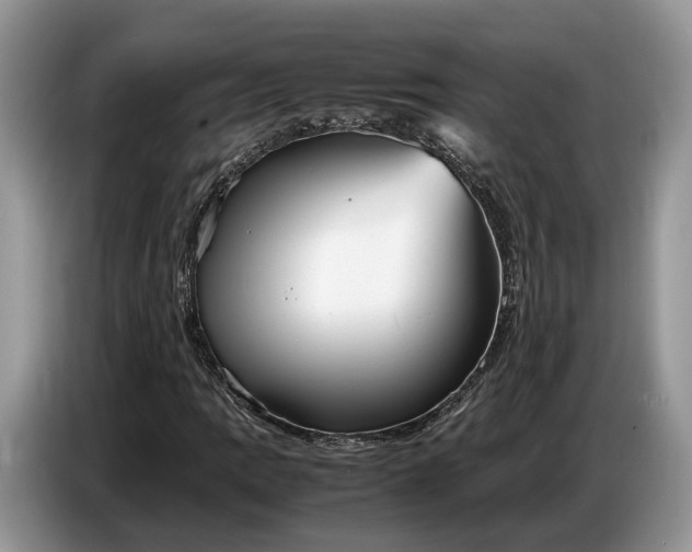 X0000086721109200704271605