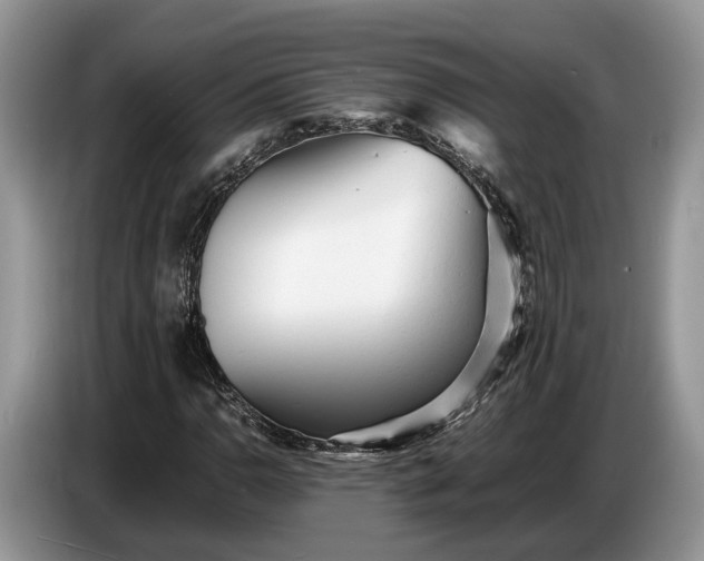 X0000086721110200704271605