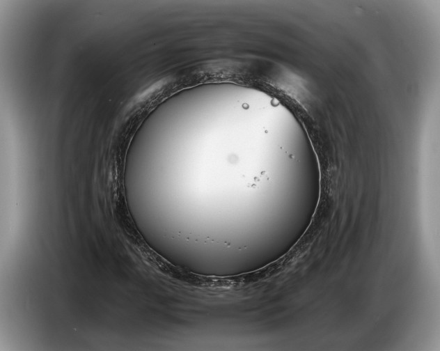 X0000086721111200704271605