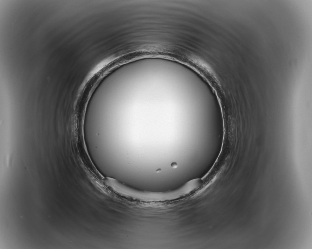X0000086721114200704271605