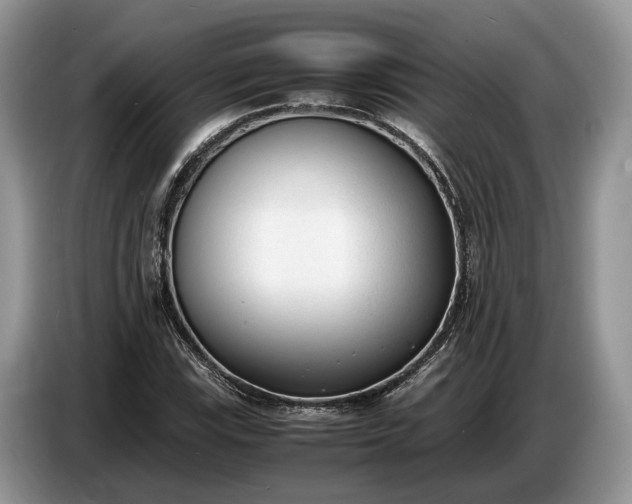 X0000086721115200704271605