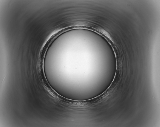 X0000086721116200704271605