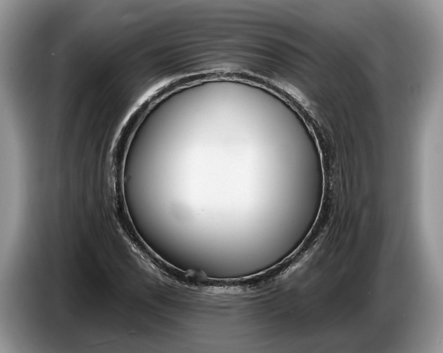 X0000086721118200704271605