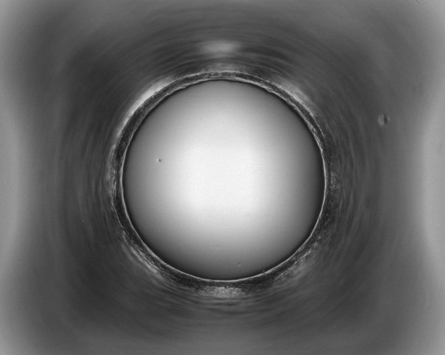 X0000086721119200704271605