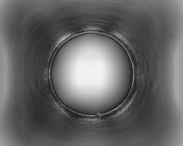 X0000086721121200704271605