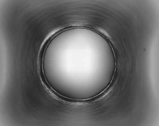 X0000086721122200704271605