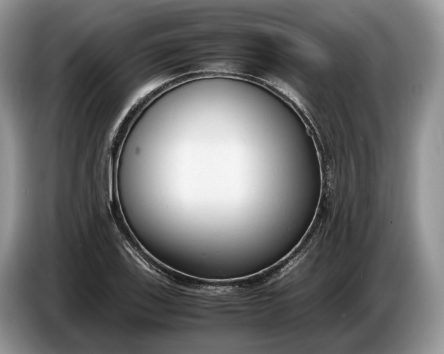 X0000086721123200704271605
