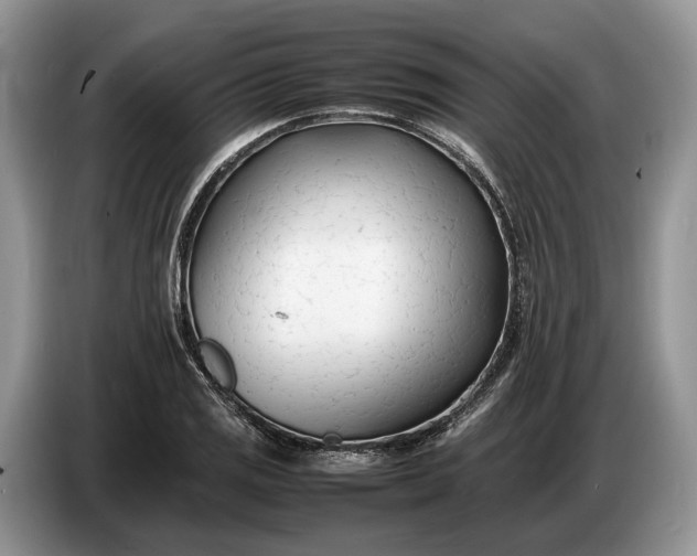 X0000086721125200704271605