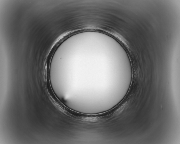 X0000086721126200704271605