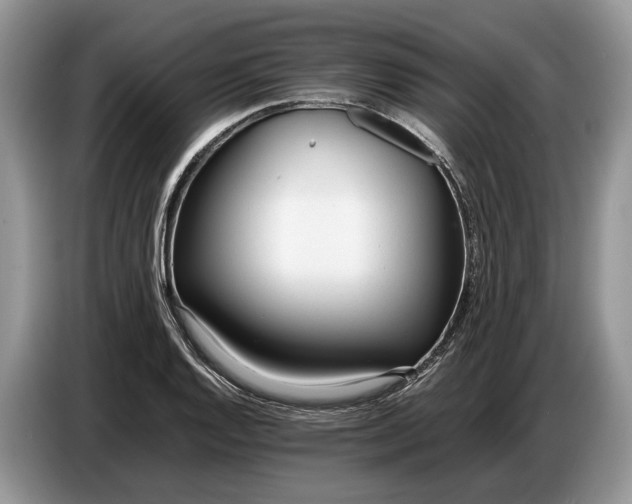 X0000086721128200704271605