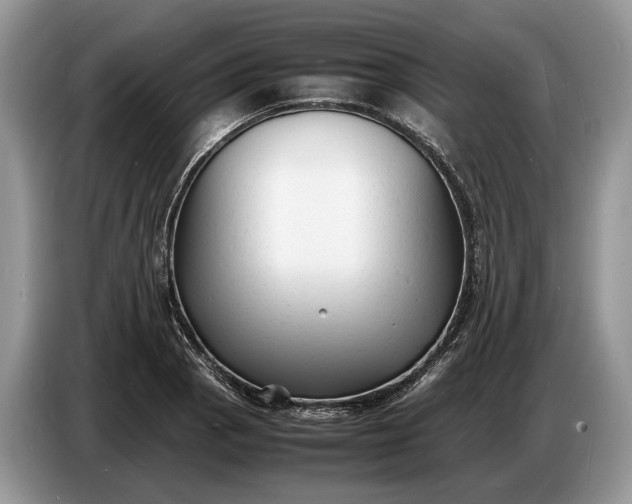 X0000086721129200704271605