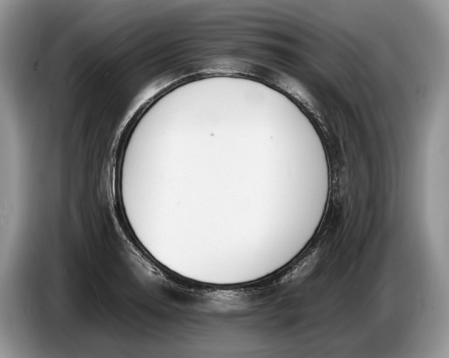 X0000086721130200704271605