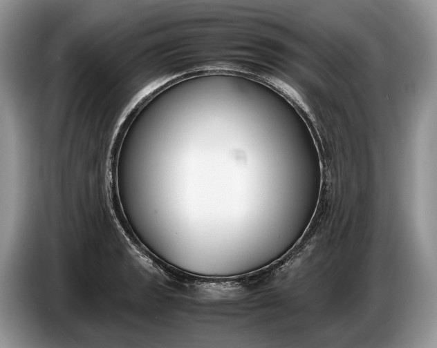 X0000086721133200704271605
