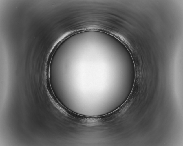 X0000086721134200704271605