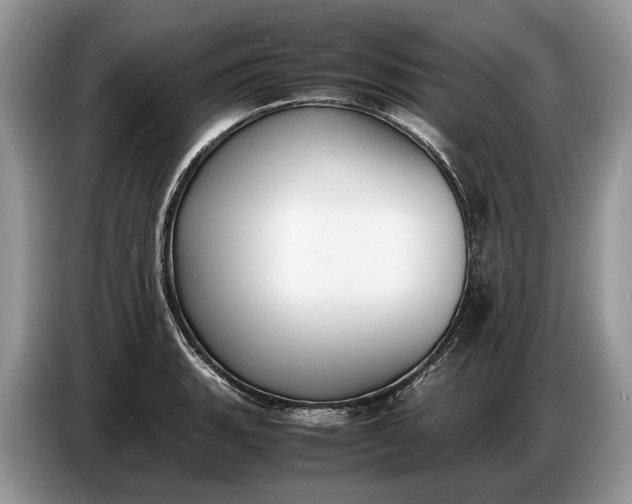 X0000086721135200704271605