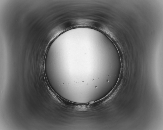 X0000086721137200704271605