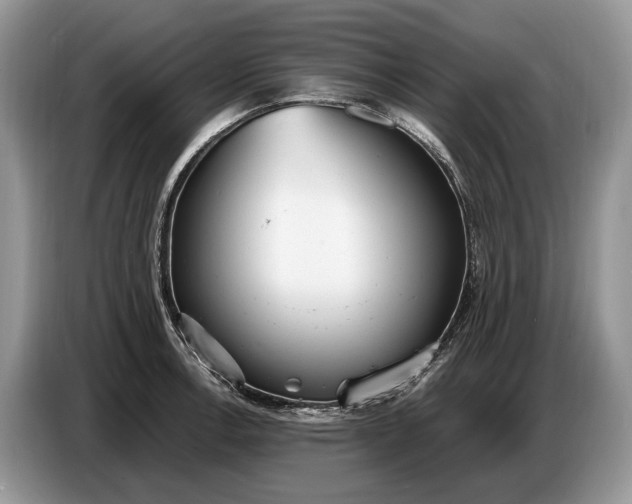 X0000086721138200704271605