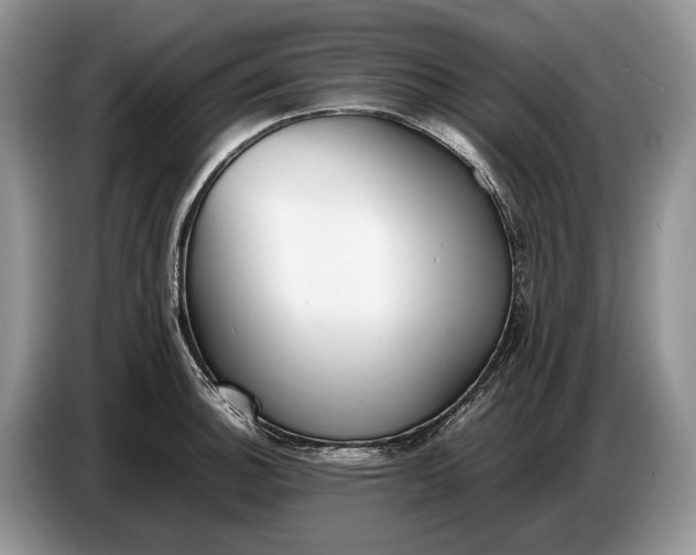 X0000086721140200704271605