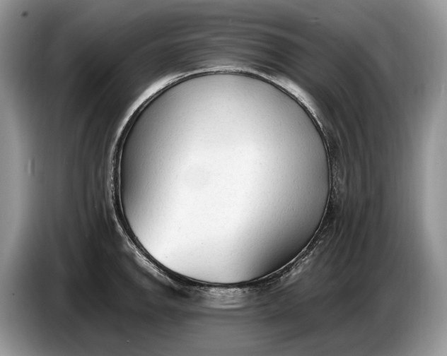 X0000086721142200704271605