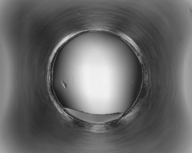 X0000086721144200704271605
