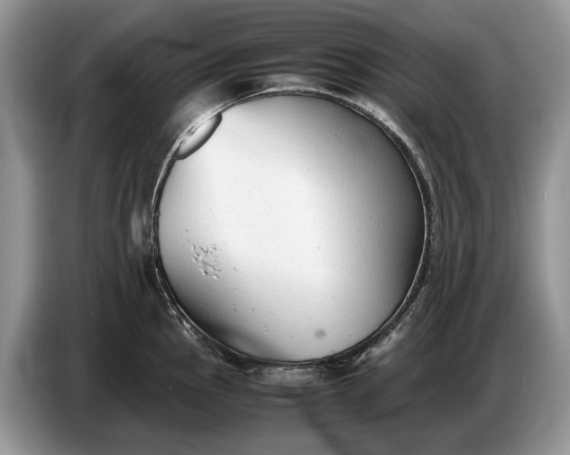 X0000086721145200704271605
