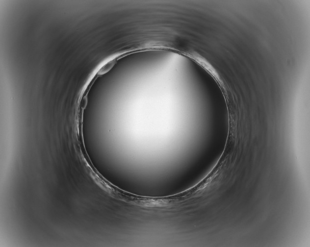 X0000086721148200704271605