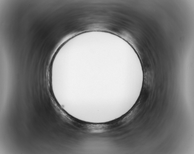 X0000086721150200704271605