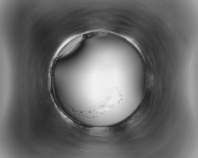 X0000086721151200704271605