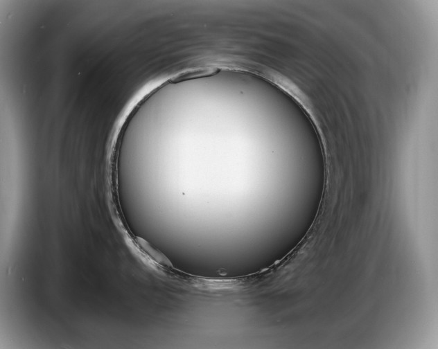 X0000086721152200704271605