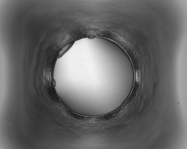 X0000086721155200704271605