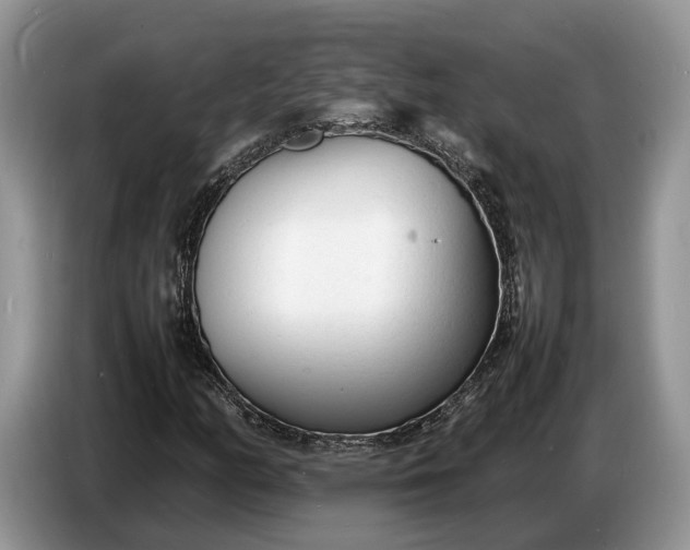 X0000086721158200704271605