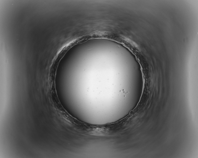 X0000086721160200704271605
