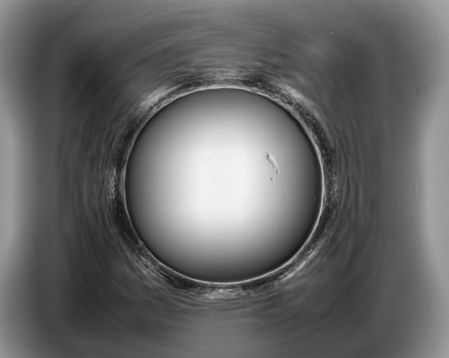 X0000086721161200704271605