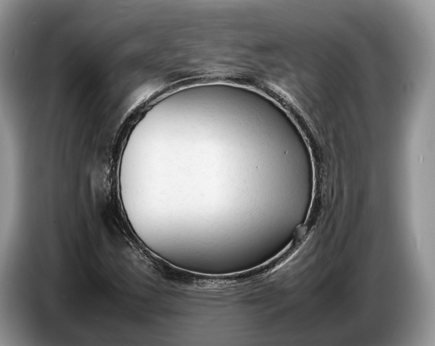 X0000086721163200704271605