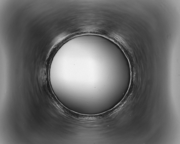 X0000086721164200704271605