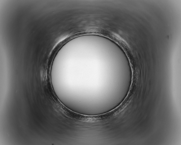 X0000086721166200704271605