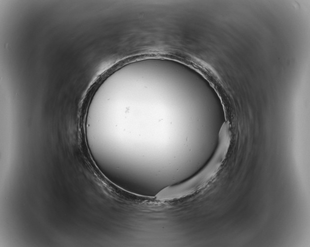 X0000086721168200704271605